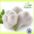 garlic price/wholesale garlic/chinese garlic/natural garlic/garlic/fresh garlic for sale